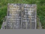 image of grave number 456316
